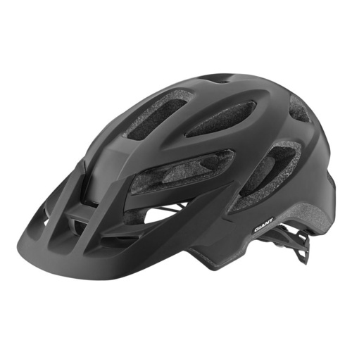 Giant Roost Helmet